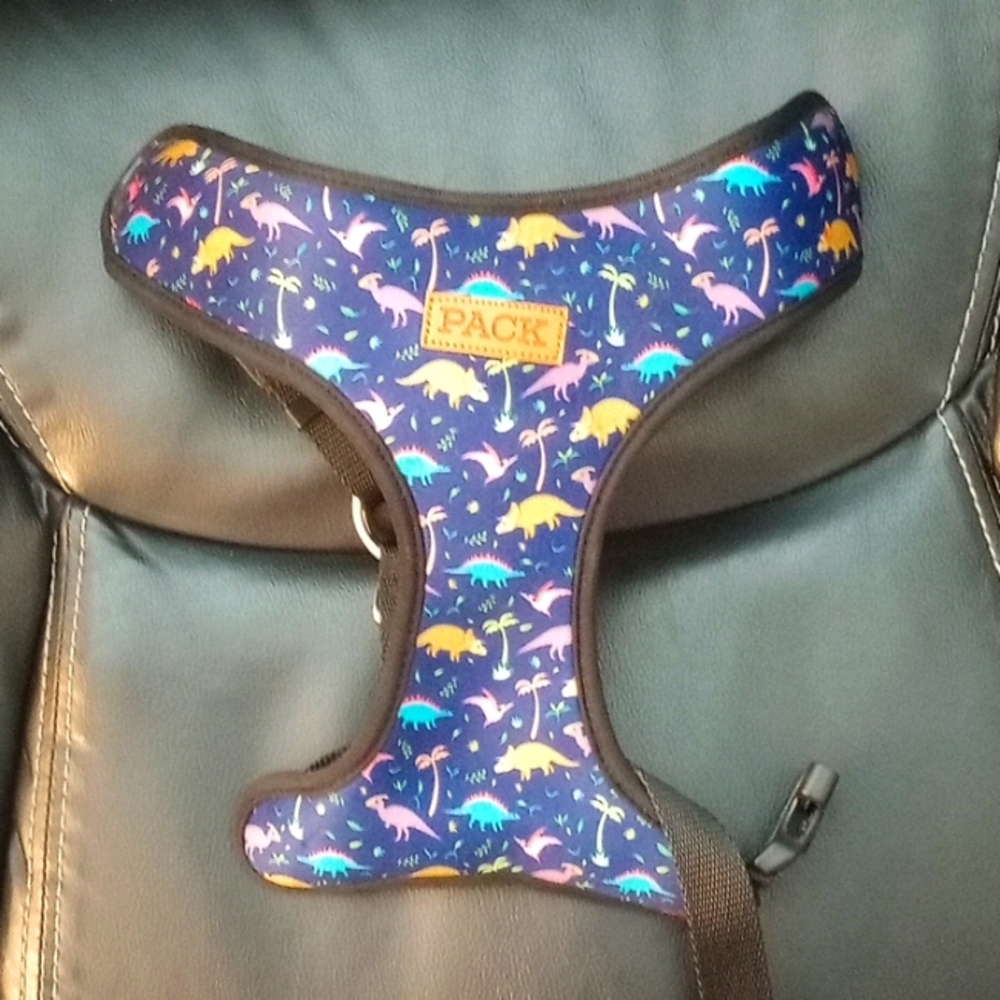 Dino Harness